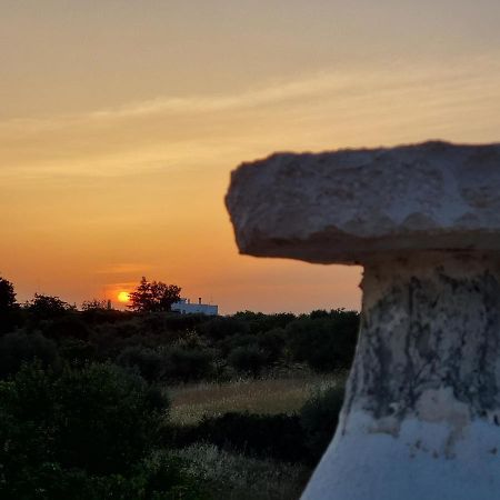 فيلا I Trulli Di Nonna Maria ألبيروبيللو المظهر الخارجي الصورة